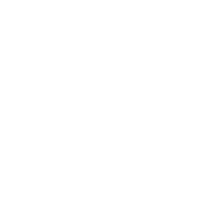 security awareness training white icon