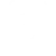 mobile device protection